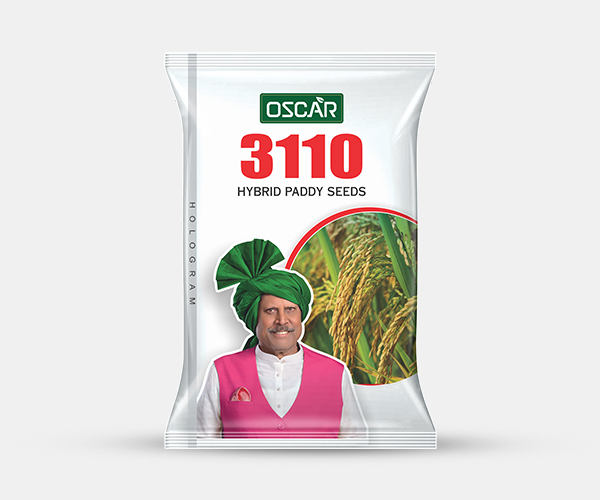 Oscar 3110 Hybrid Paddy Seeds packet