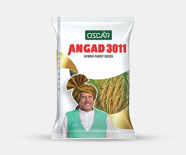 Angad 3011 Hybrid Paddy Seeds Packet