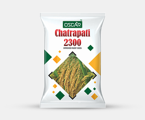 Chatrapati 2300 Improved Paddy Seeds Packet