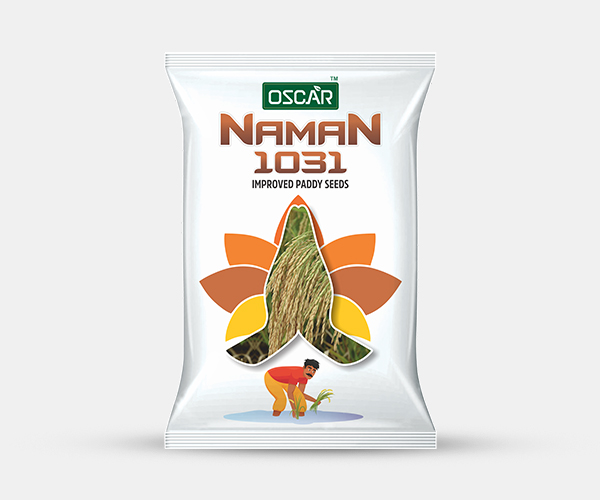 Naman 1031 Improved Paddy Seeds Packet